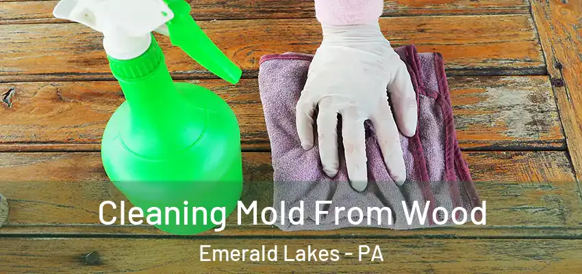 Cleaning Mold From Wood Emerald Lakes - PA