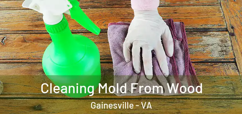 Cleaning Mold From Wood Gainesville - VA