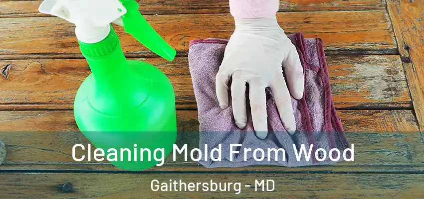 Cleaning Mold From Wood Gaithersburg - MD