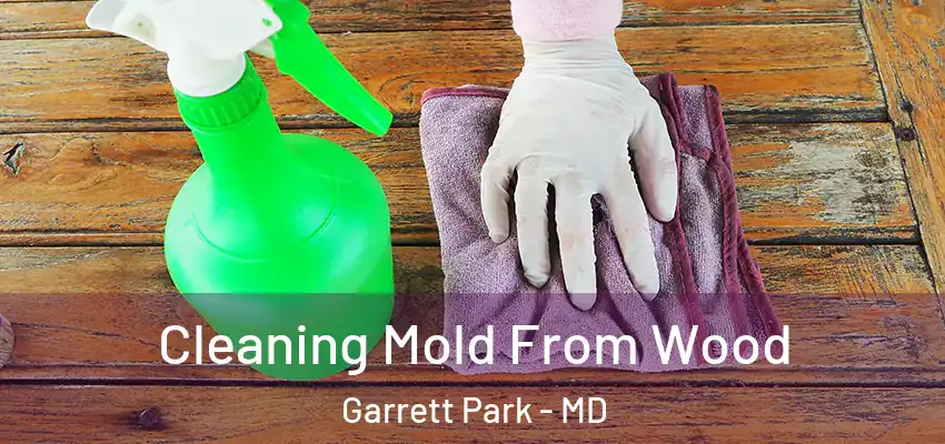  Cleaning Mold From Wood Garrett Park - MD