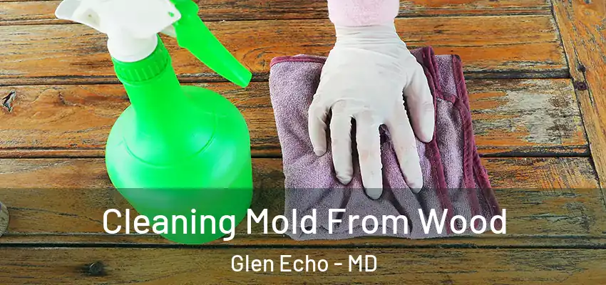 Cleaning Mold From Wood Glen Echo - MD
