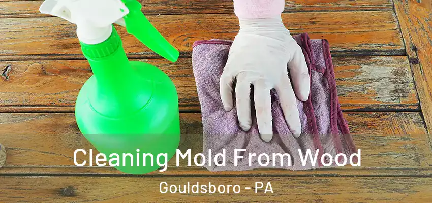 Cleaning Mold From Wood Gouldsboro - PA