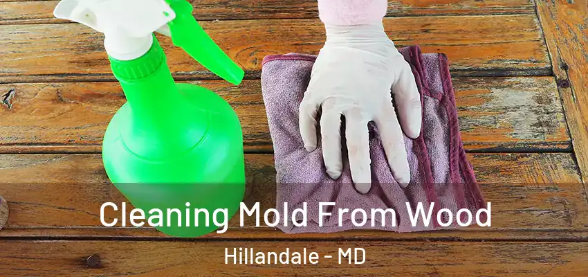 Cleaning Mold From Wood Hillandale - MD
