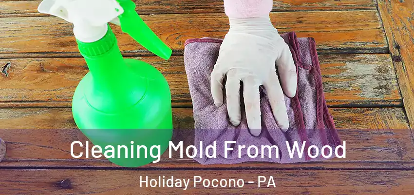 Cleaning Mold From Wood Holiday Pocono - PA