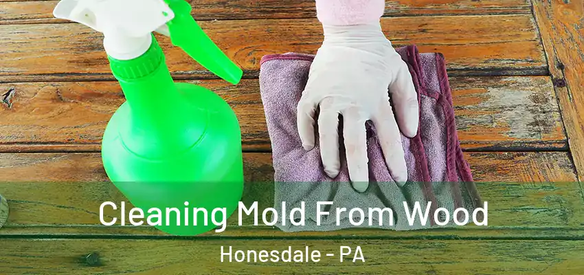 Cleaning Mold From Wood Honesdale - PA