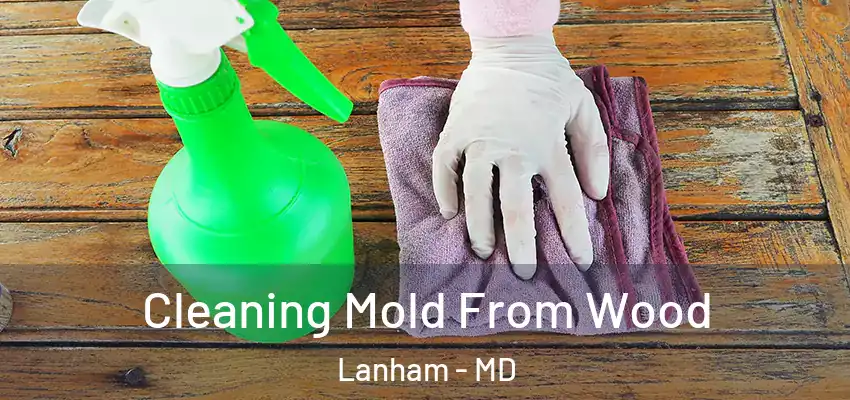 Cleaning Mold From Wood Lanham - MD