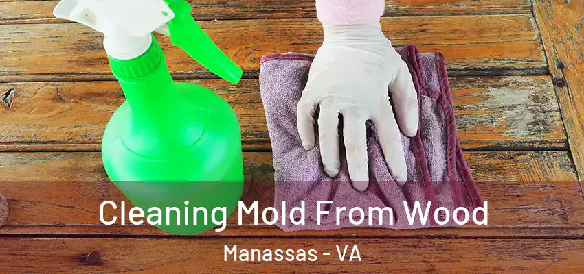 Cleaning Mold From Wood Manassas - VA