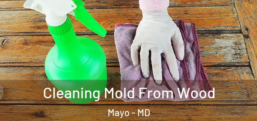 Cleaning Mold From Wood Mayo - MD