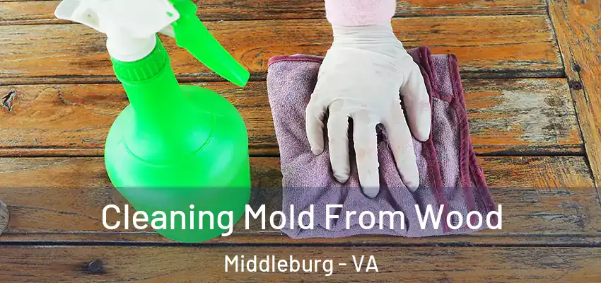 Cleaning Mold From Wood Middleburg - VA