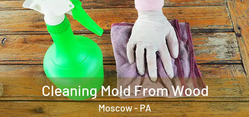 Cleaning Mold From Wood Moscow - PA