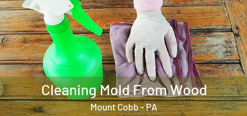 Cleaning Mold From Wood Mount Cobb - PA