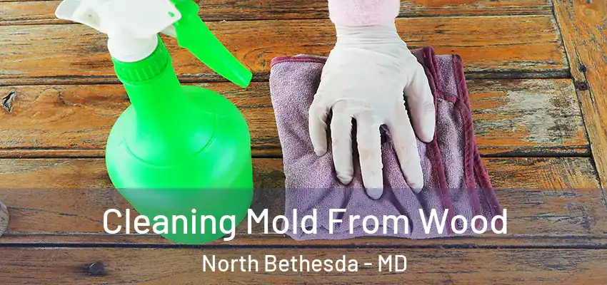 Cleaning Mold From Wood North Bethesda - MD