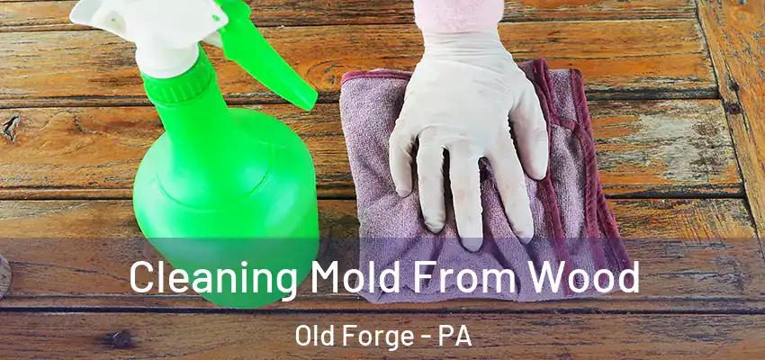  Cleaning Mold From Wood Old Forge - PA