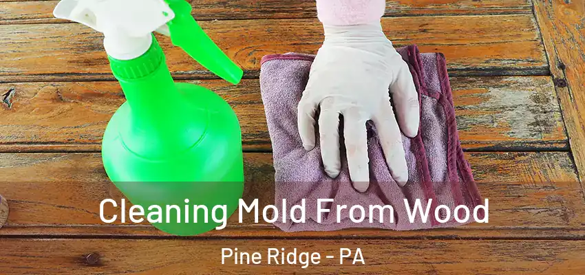 Cleaning Mold From Wood Pine Ridge - PA