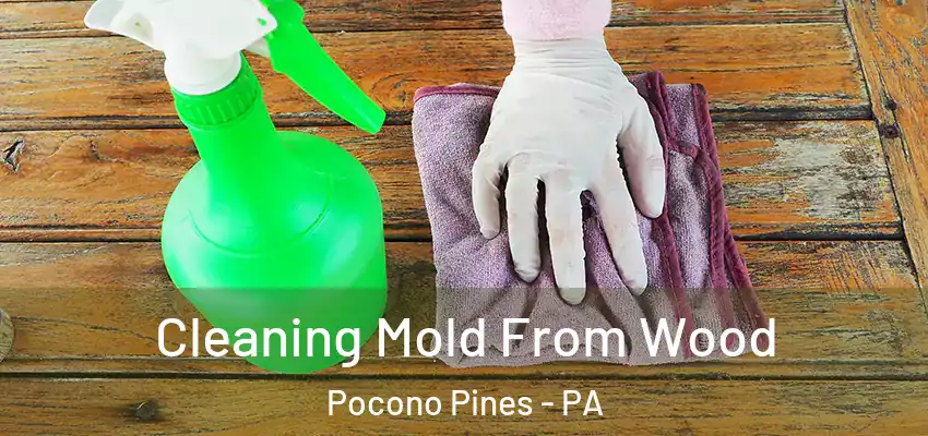 Cleaning Mold From Wood Pocono Pines - PA