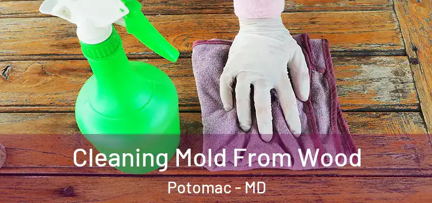 Cleaning Mold From Wood Potomac - MD