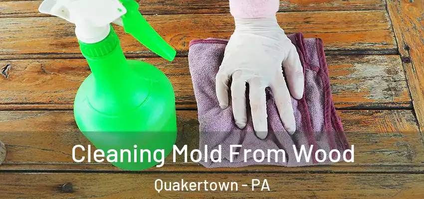 Cleaning Mold From Wood Quakertown - PA