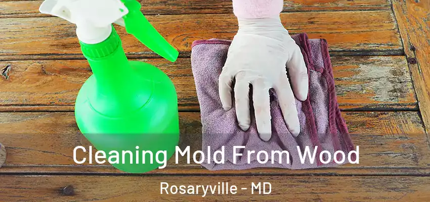 Cleaning Mold From Wood Rosaryville - MD