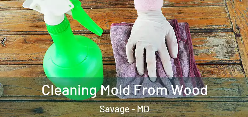 Cleaning Mold From Wood Savage - MD