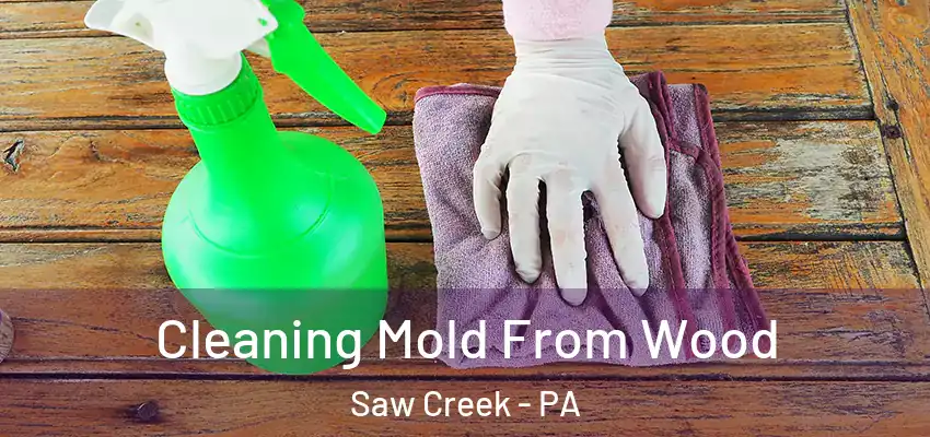 Cleaning Mold From Wood Saw Creek - PA