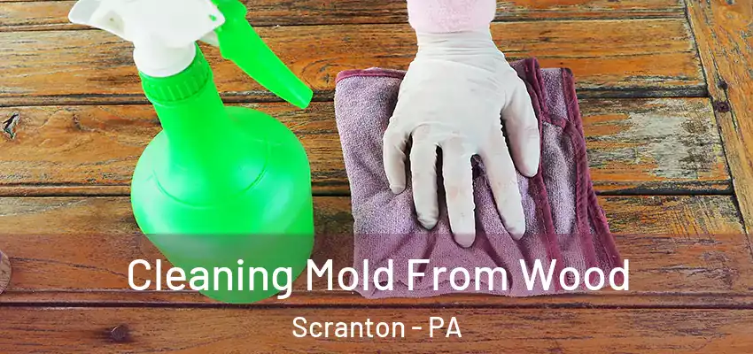 Cleaning Mold From Wood Scranton - PA