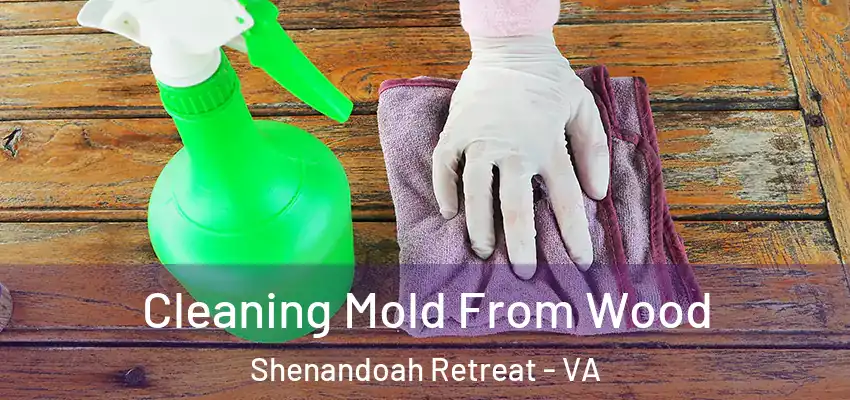 Cleaning Mold From Wood Shenandoah Retreat - VA