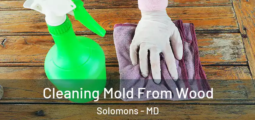 Cleaning Mold From Wood Solomons - MD