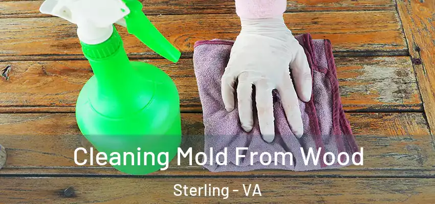 Cleaning Mold From Wood Sterling - VA