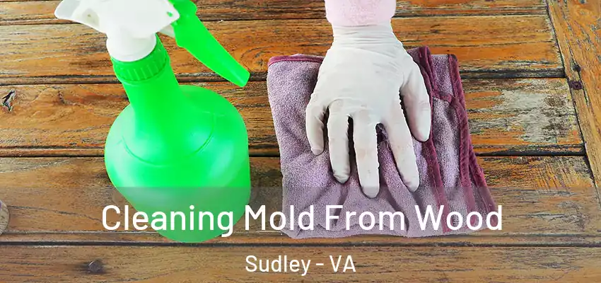 Cleaning Mold From Wood Sudley - VA