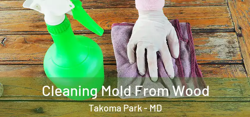 Cleaning Mold From Wood Takoma Park - MD