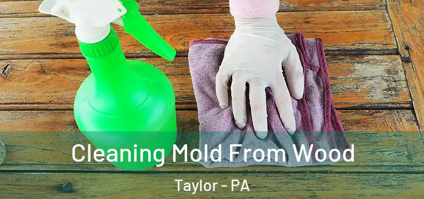 Cleaning Mold From Wood Taylor - PA