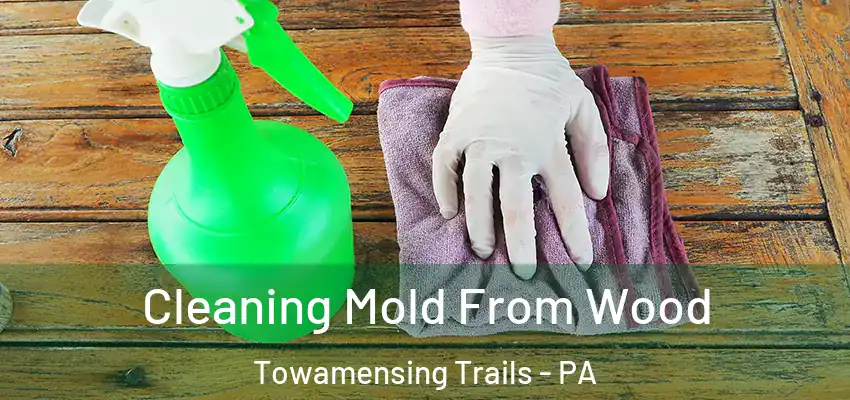 Cleaning Mold From Wood Towamensing Trails - PA