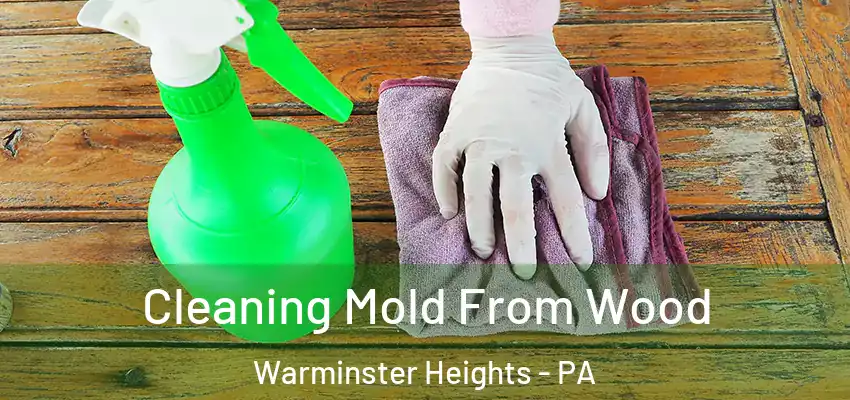 Cleaning Mold From Wood Warminster Heights - PA