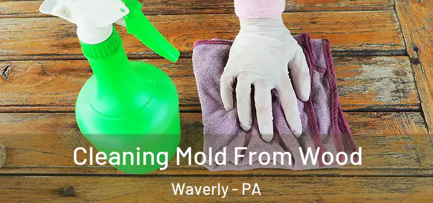 Cleaning Mold From Wood Waverly - PA
