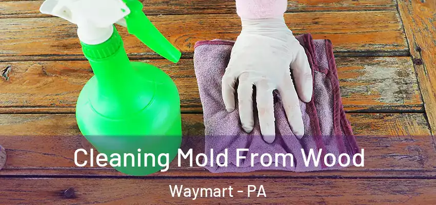 Cleaning Mold From Wood Waymart - PA