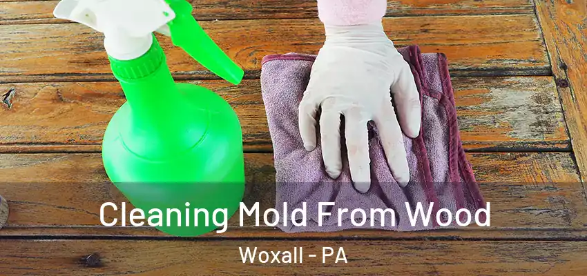 Cleaning Mold From Wood Woxall - PA