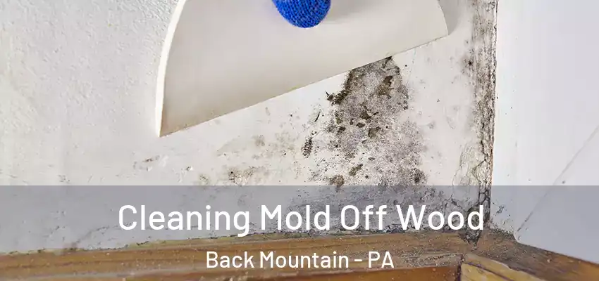 Cleaning Mold Off Wood Back Mountain - PA