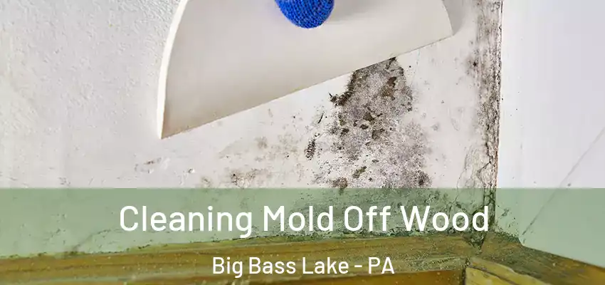 Cleaning Mold Off Wood Big Bass Lake - PA