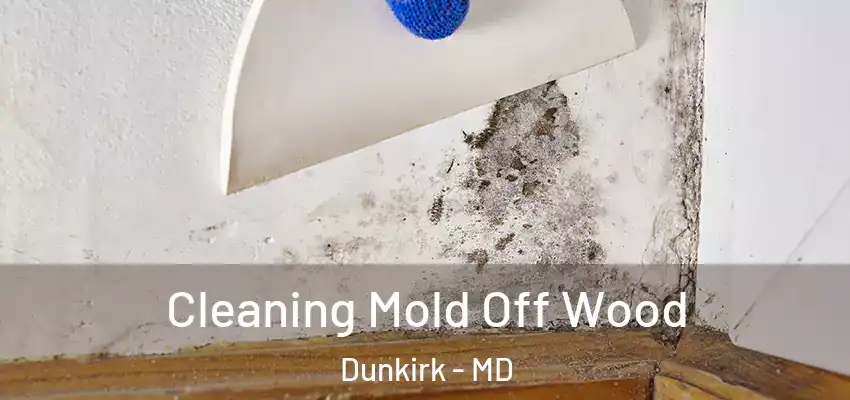 Cleaning Mold Off Wood Dunkirk - MD