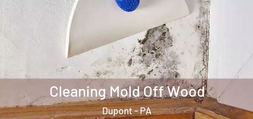 Cleaning Mold Off Wood Dupont - PA