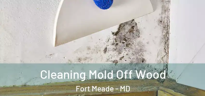 Cleaning Mold Off Wood Fort Meade - MD