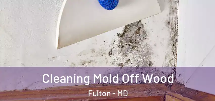 Cleaning Mold Off Wood Fulton - MD