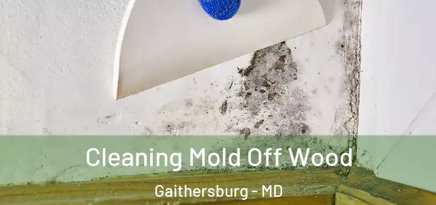 Cleaning Mold Off Wood Gaithersburg - MD