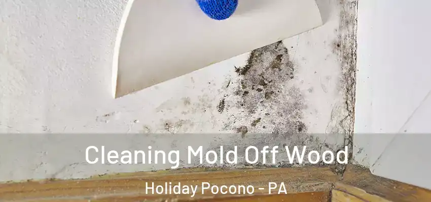 Cleaning Mold Off Wood Holiday Pocono - PA