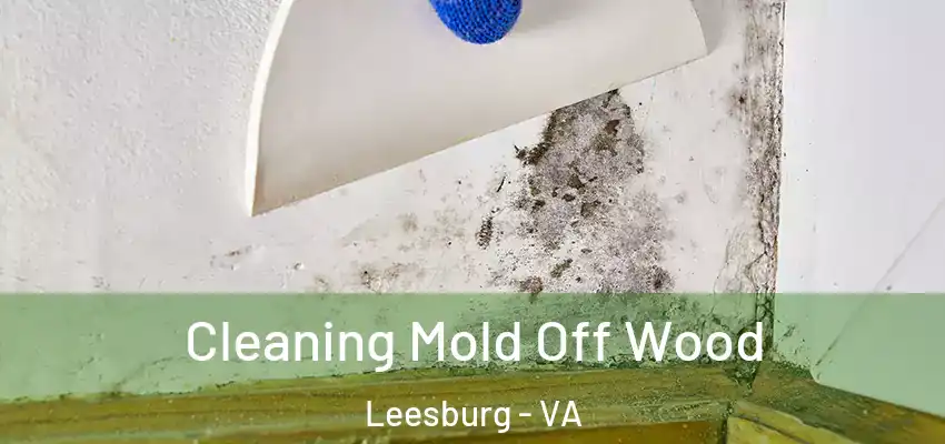 Cleaning Mold Off Wood Leesburg - VA