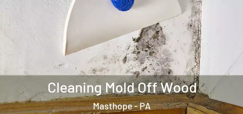 Cleaning Mold Off Wood Masthope - PA