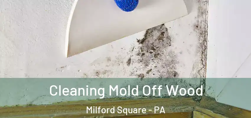Cleaning Mold Off Wood Milford Square - PA