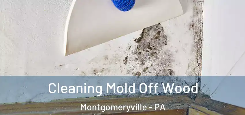 Cleaning Mold Off Wood Montgomeryville - PA
