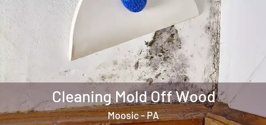 Cleaning Mold Off Wood Moosic - PA
