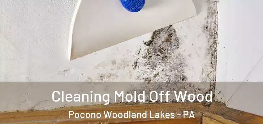 Cleaning Mold Off Wood Pocono Woodland Lakes - PA